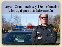 Criminal / Traffic Law